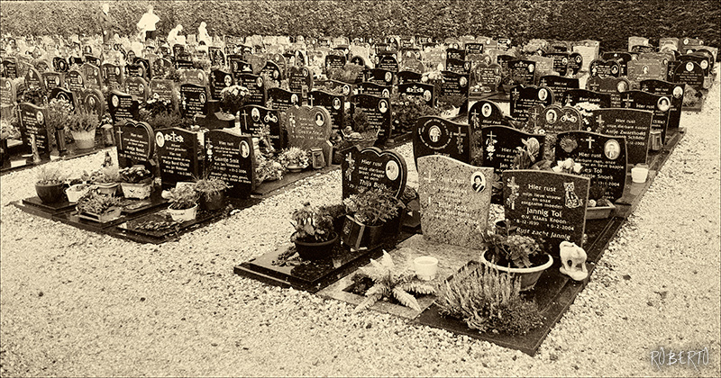 reto-54-en-el-cementerio-Roberto-Rogelio-Andrade-Sánchez